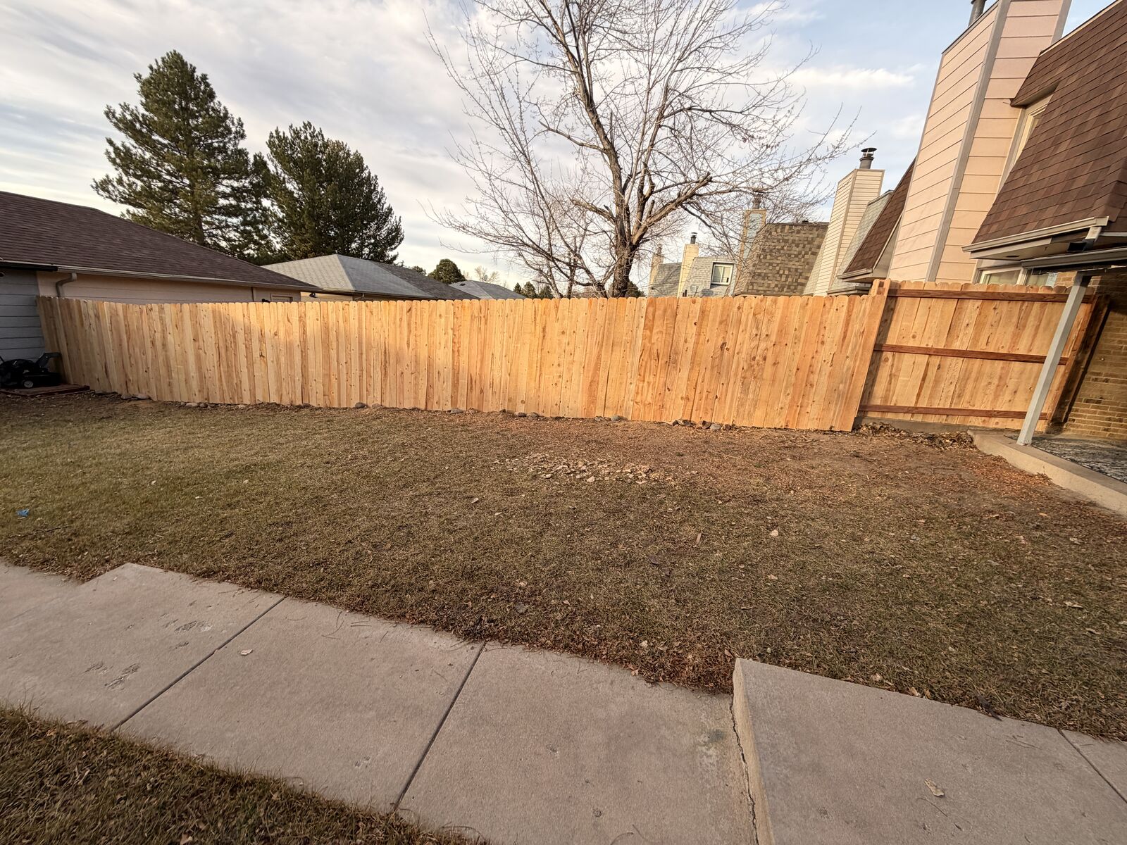 New cedar privacy fence around backyard