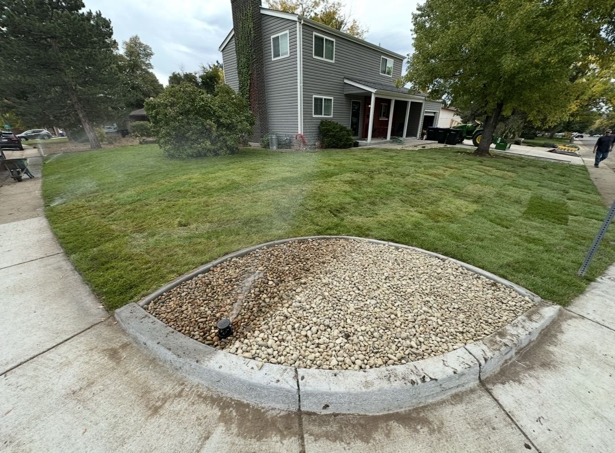 Sod installation with rock drainage bed
