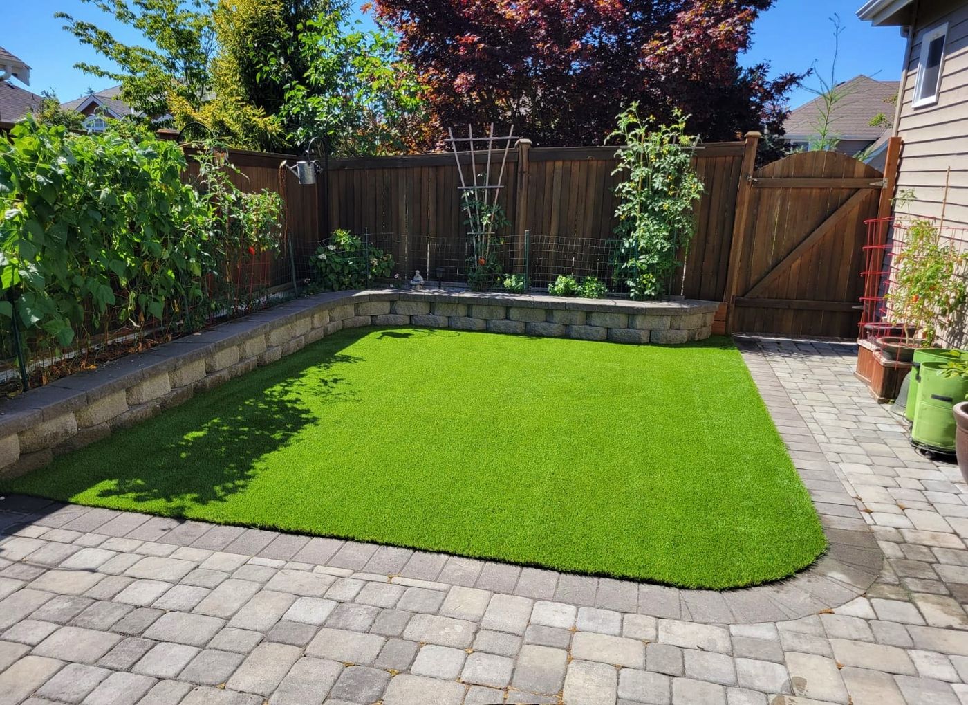 Artificial turf backyard bordered by pavers
